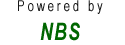 Russia Consulting NBS